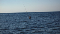 p1010150-out