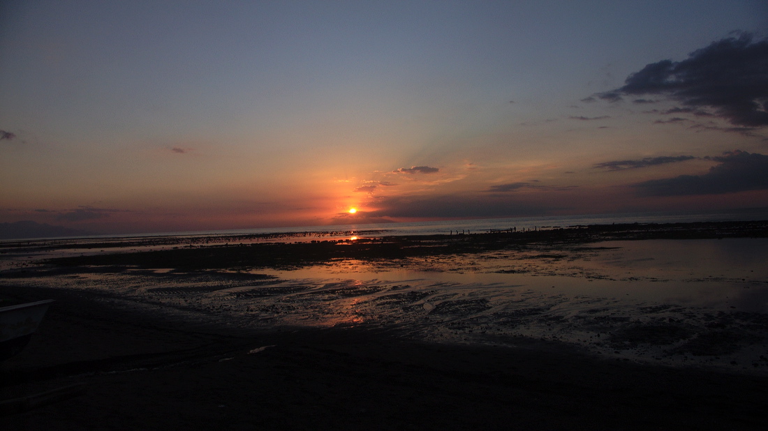 p1010133-out.jpg