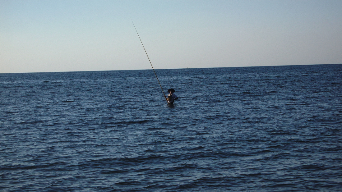 p1010150-out.jpg