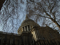 l1000506