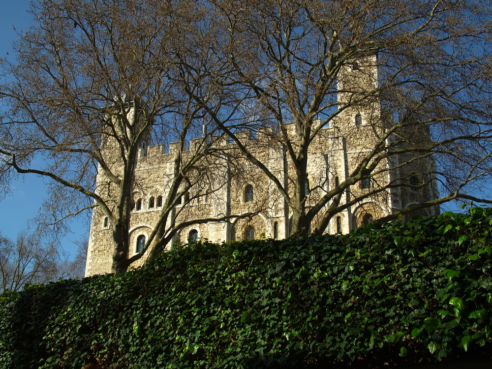 l1000404.jpg