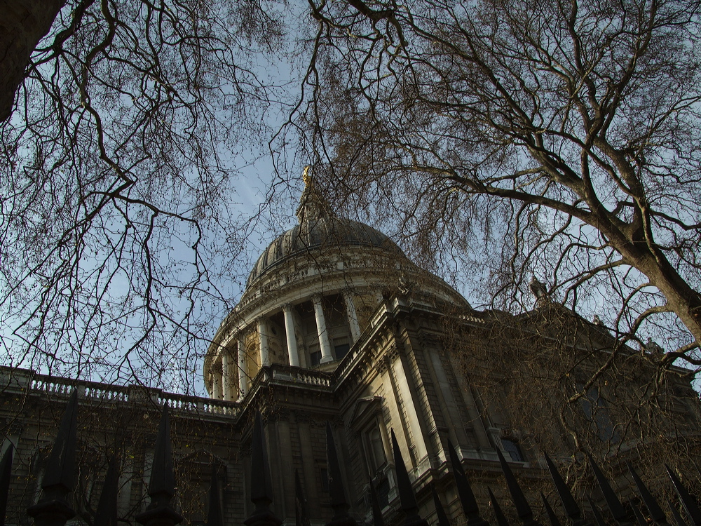 l1000506.jpg