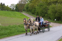 crw_0882