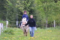 crw_0909