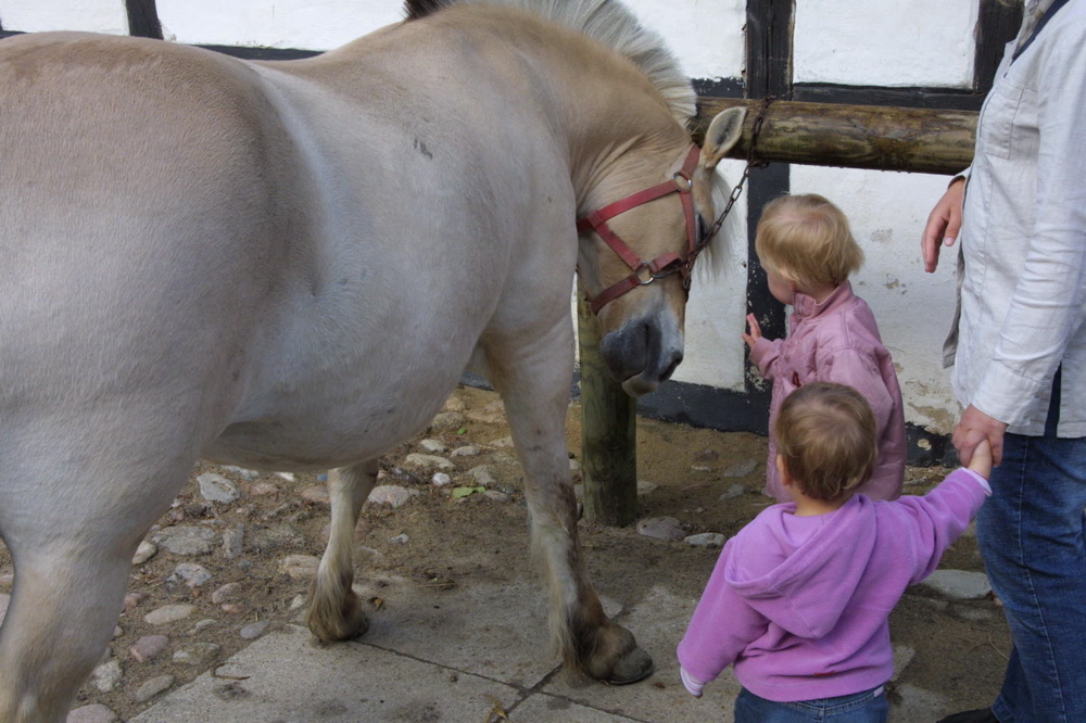 crw_0858.jpg