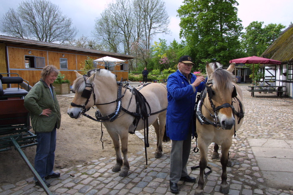 crw_0867.jpg