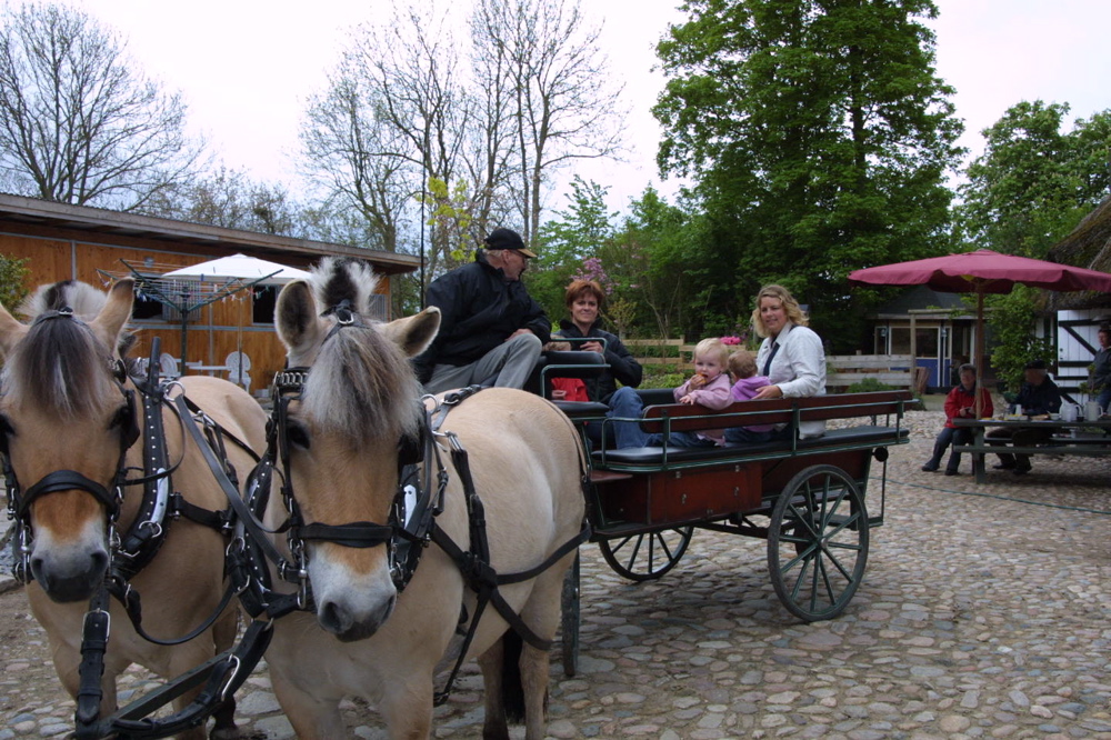 crw_0893.jpg