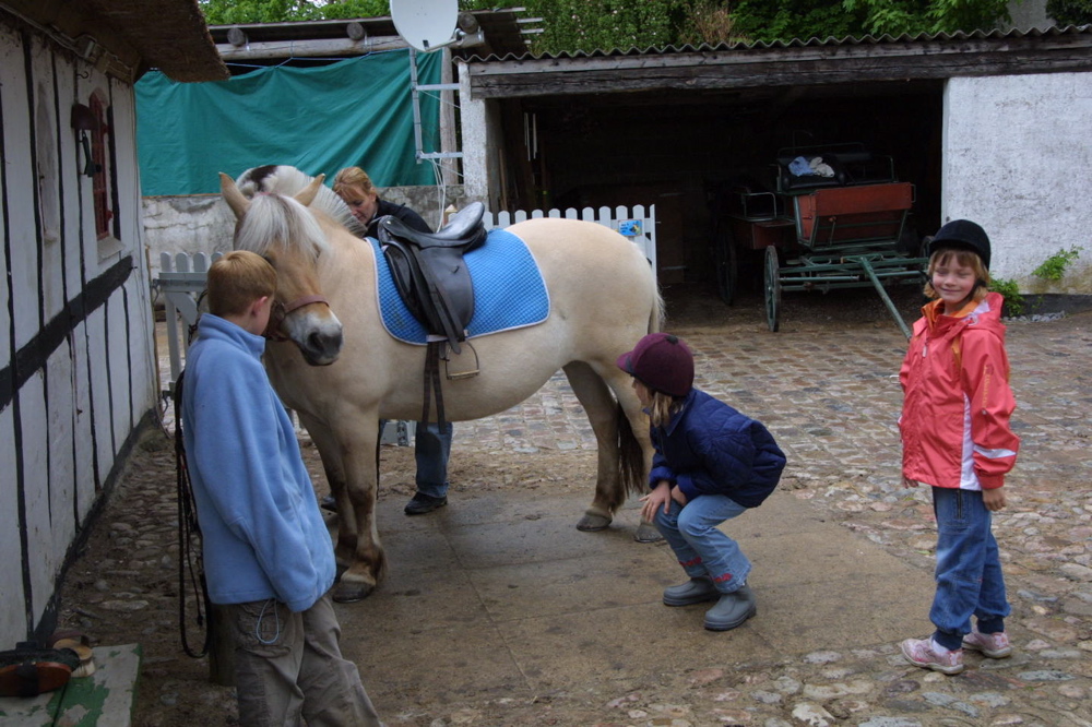 crw_0905.jpg