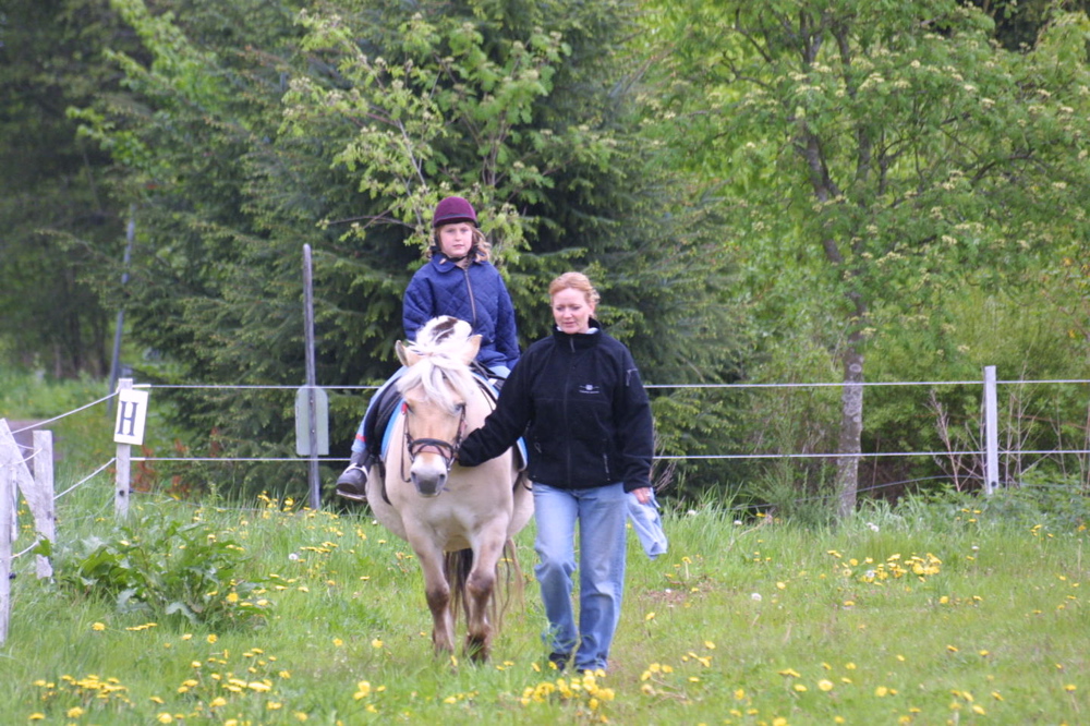 crw_0909.jpg