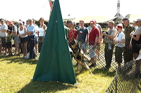 crw_1035