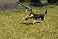 crw_1058