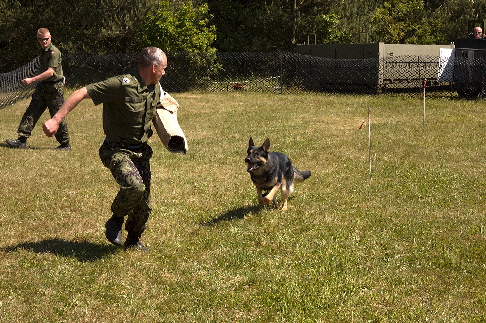 crw_1047.jpg