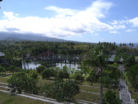 _1020987