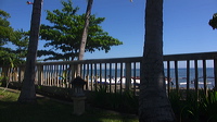 p1010183