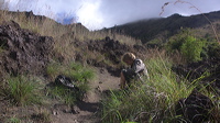 p1010236