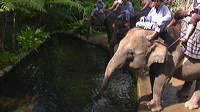 p1010257