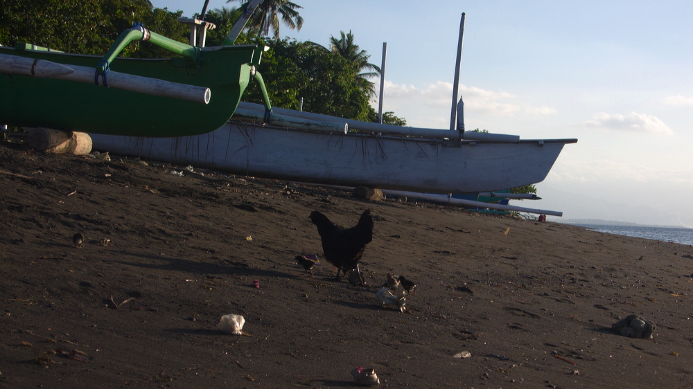 p1010151.jpg