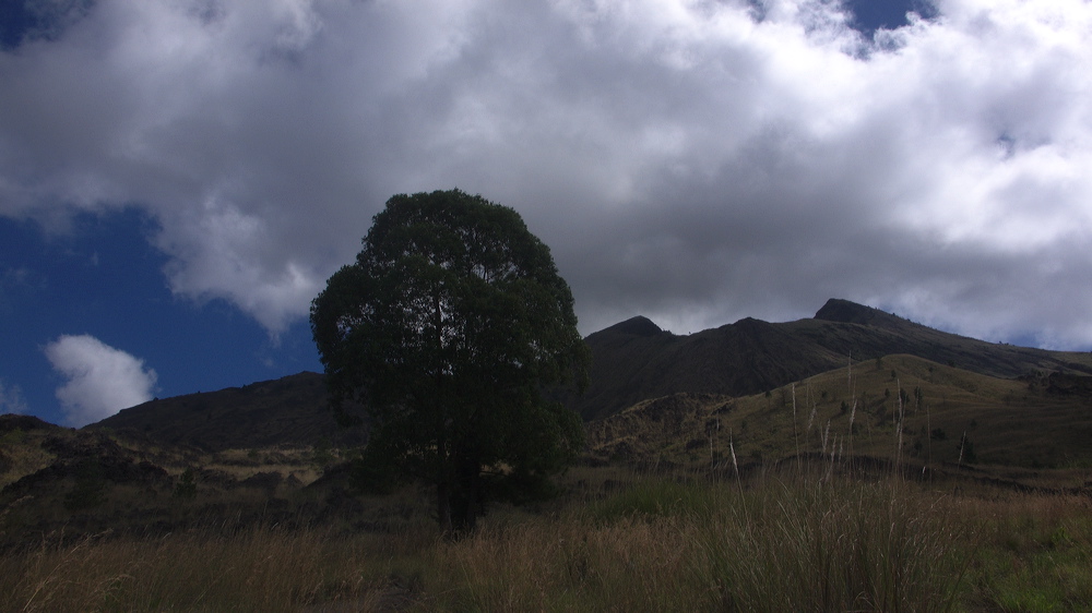 p1010242.jpg