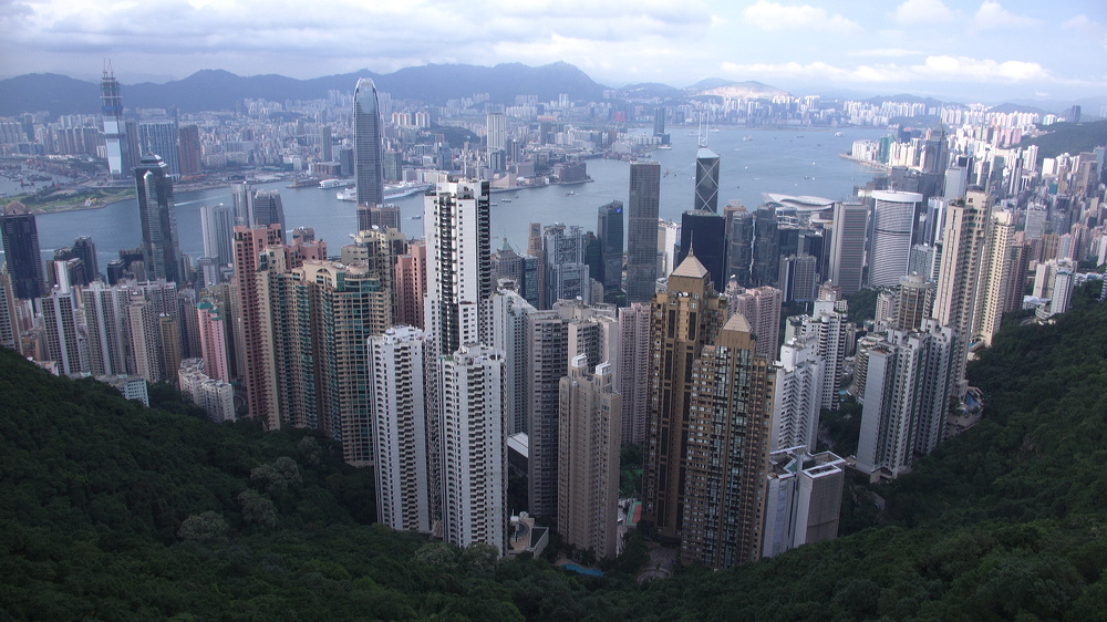 p1010030.jpg