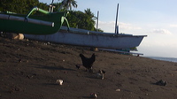 p1010151
