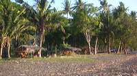 p1010152