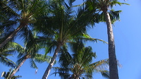 p1010182