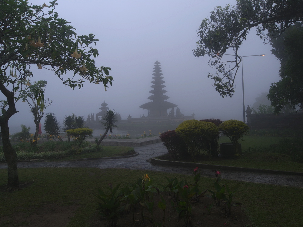 _1020245.jpg