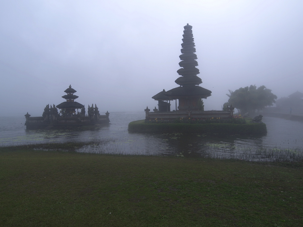 _1020250.jpg