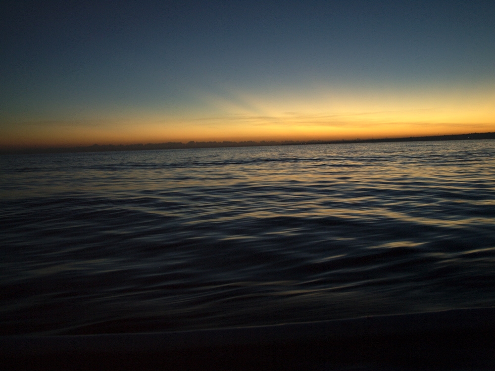 _1020445.jpg