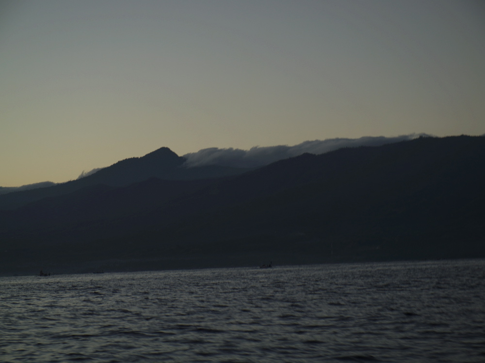 _1020454.jpg