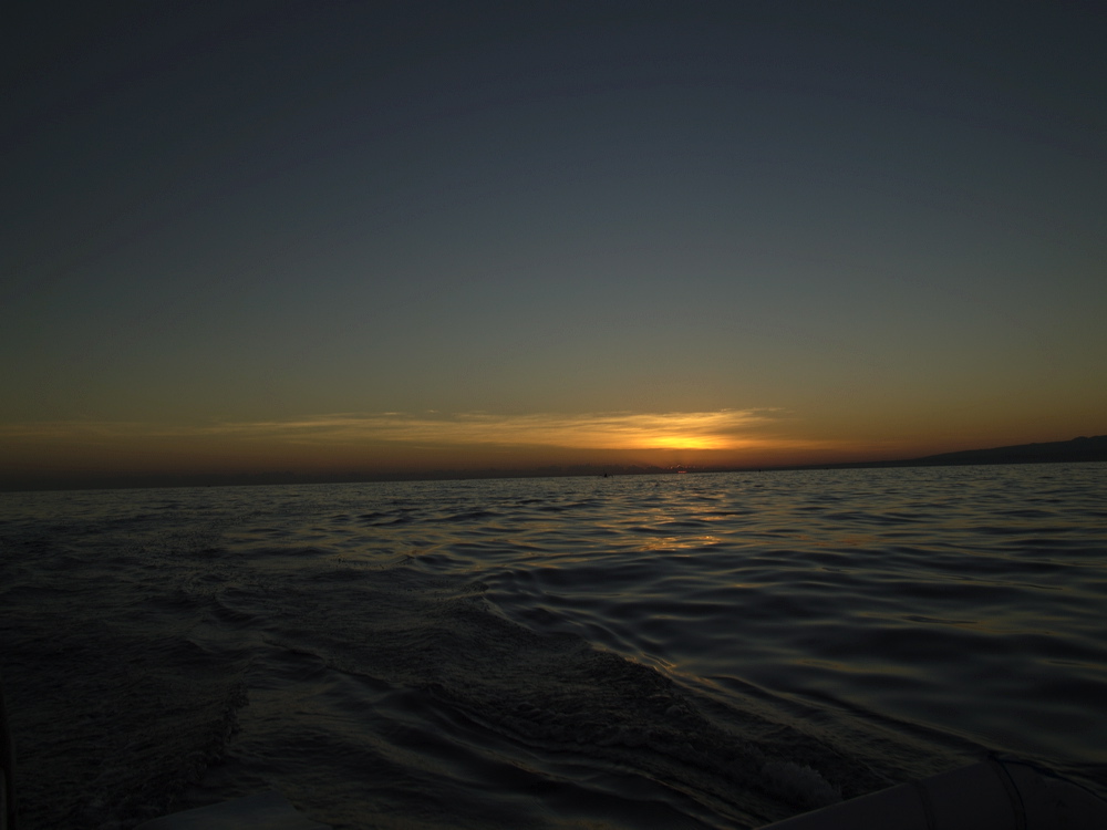 _1020464.jpg