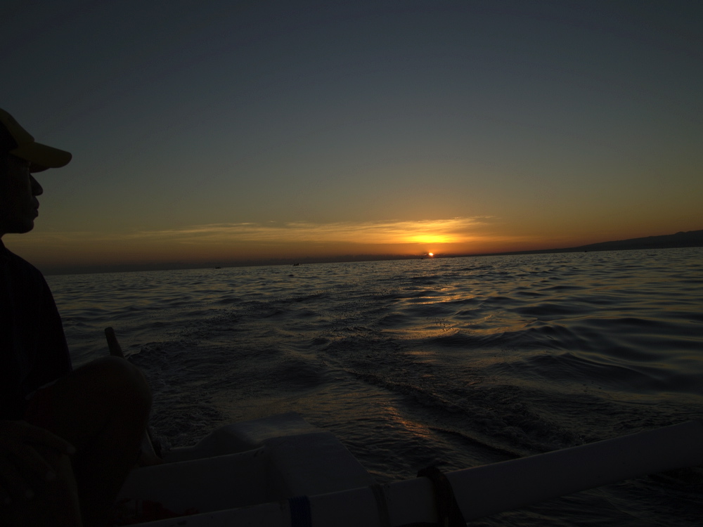 _1020465.jpg