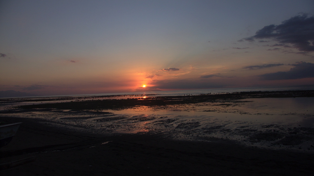 p1010133.jpg