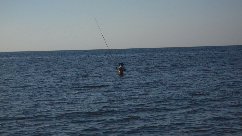 p1010150.jpg