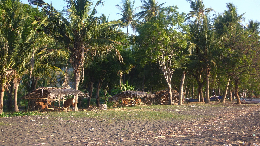 p1010152.jpg