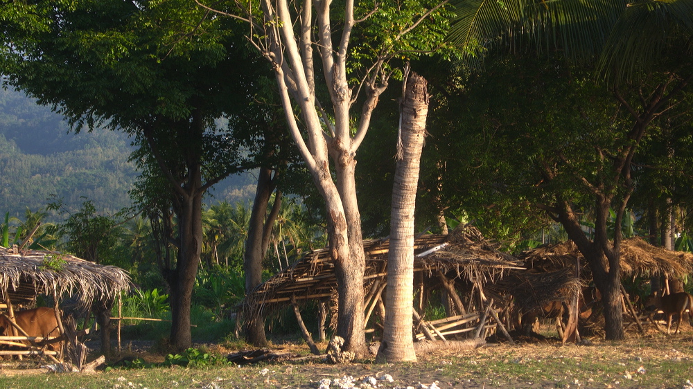 p1010153.jpg