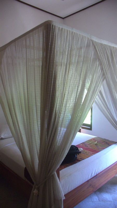 p1010197.jpg