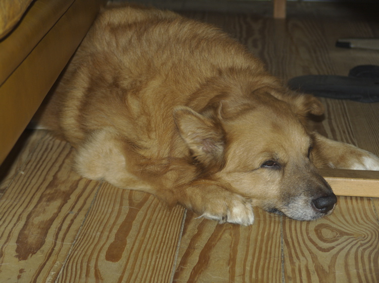 DSC02287.SRF