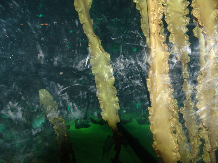 DSC02292.JPG