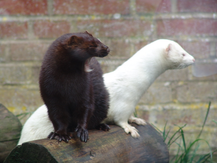 DSC02293.JPG