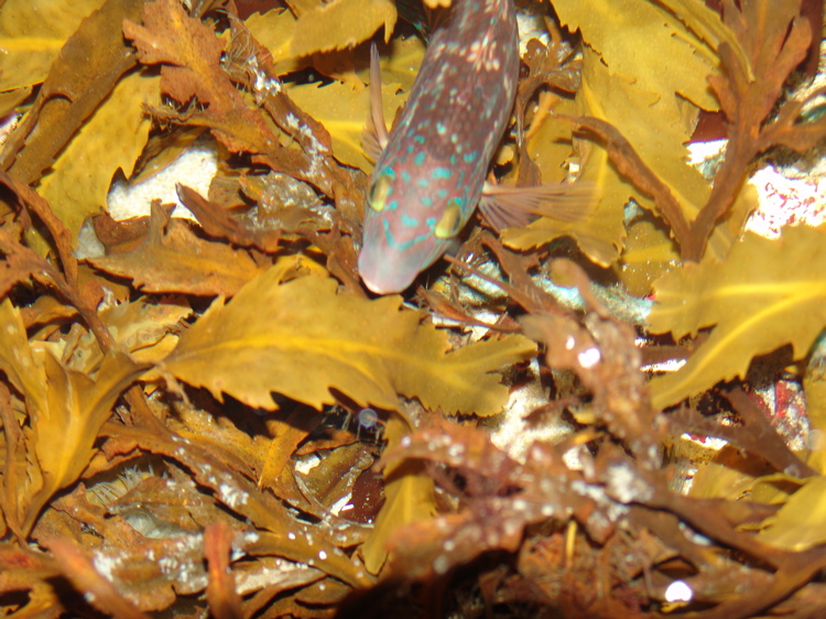 DSC02341.JPG