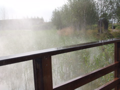 DSC02277.JPG