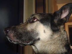 DSC02281.JPG