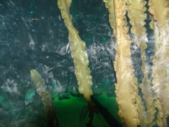 DSC02292.JPG