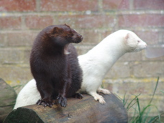 DSC02293.JPG