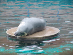 DSC02295.JPG