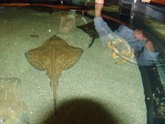 DSC02344.JPG