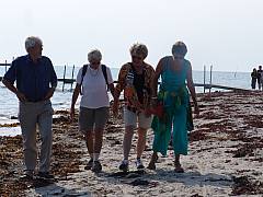 dsc02377.jpg