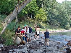 dsc02400.jpg