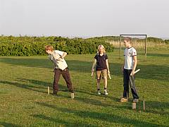 dsc02431.jpg